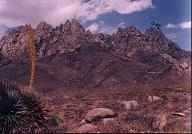 Organ Range from west